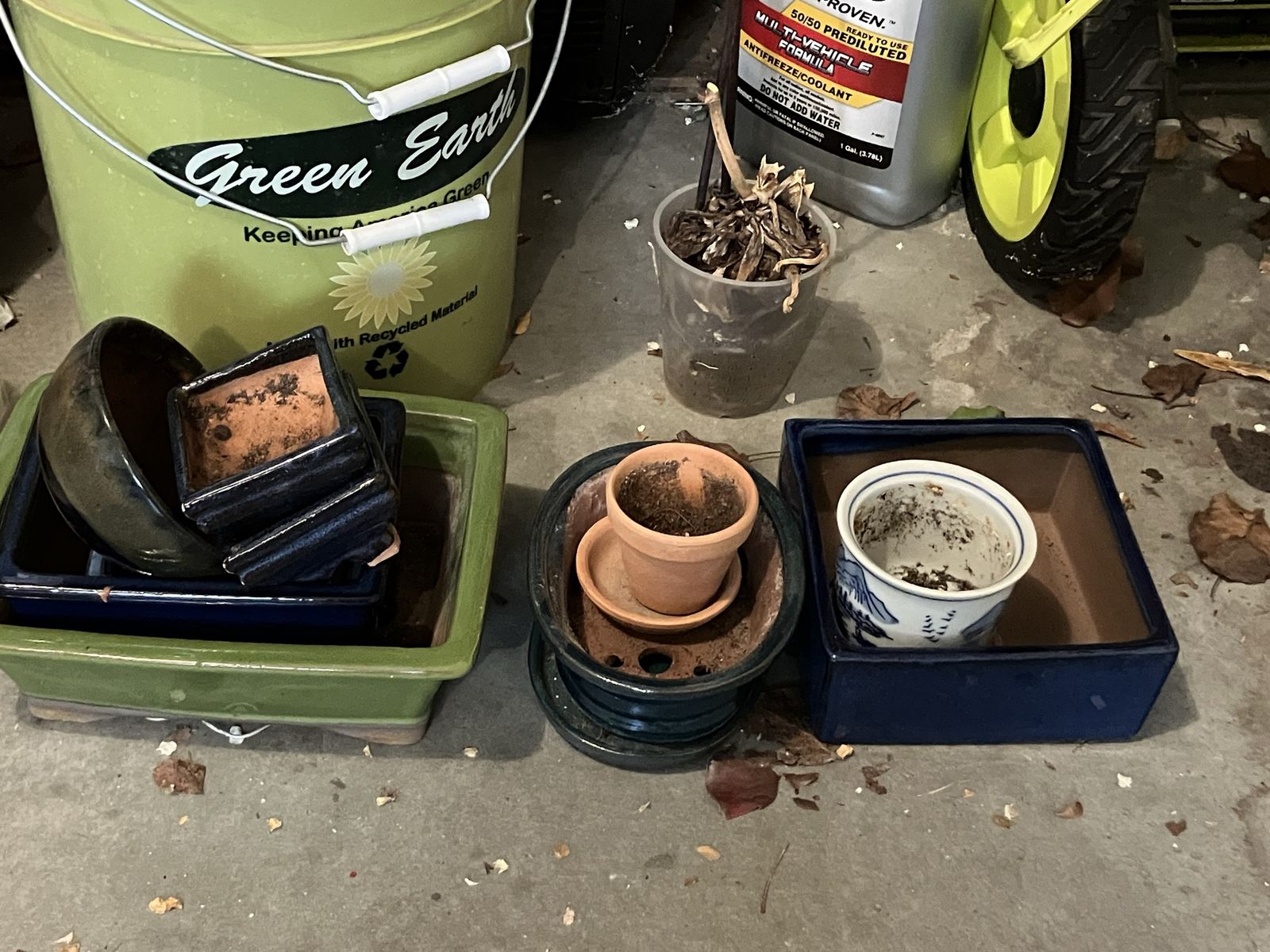 Bonsai pots, several sizes $40 cash, see all photos