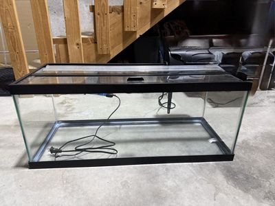 20 Gallon Long Fish Tank, Heater, Filter, Lid
