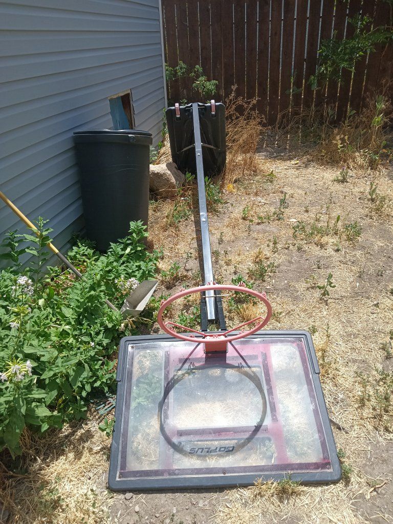 Free basketball hoop