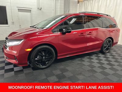 2023 Honda Odyssey Sport