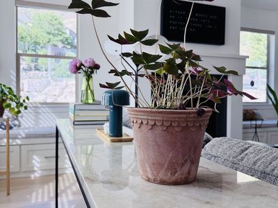 Taj Mahal Quartzite Top Console Table with Black Metal Frame