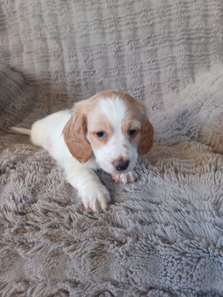 Main image 4