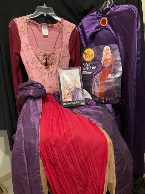 Hocus Pocus SARAH SANDERSON  (Cape and Wig included)   $50