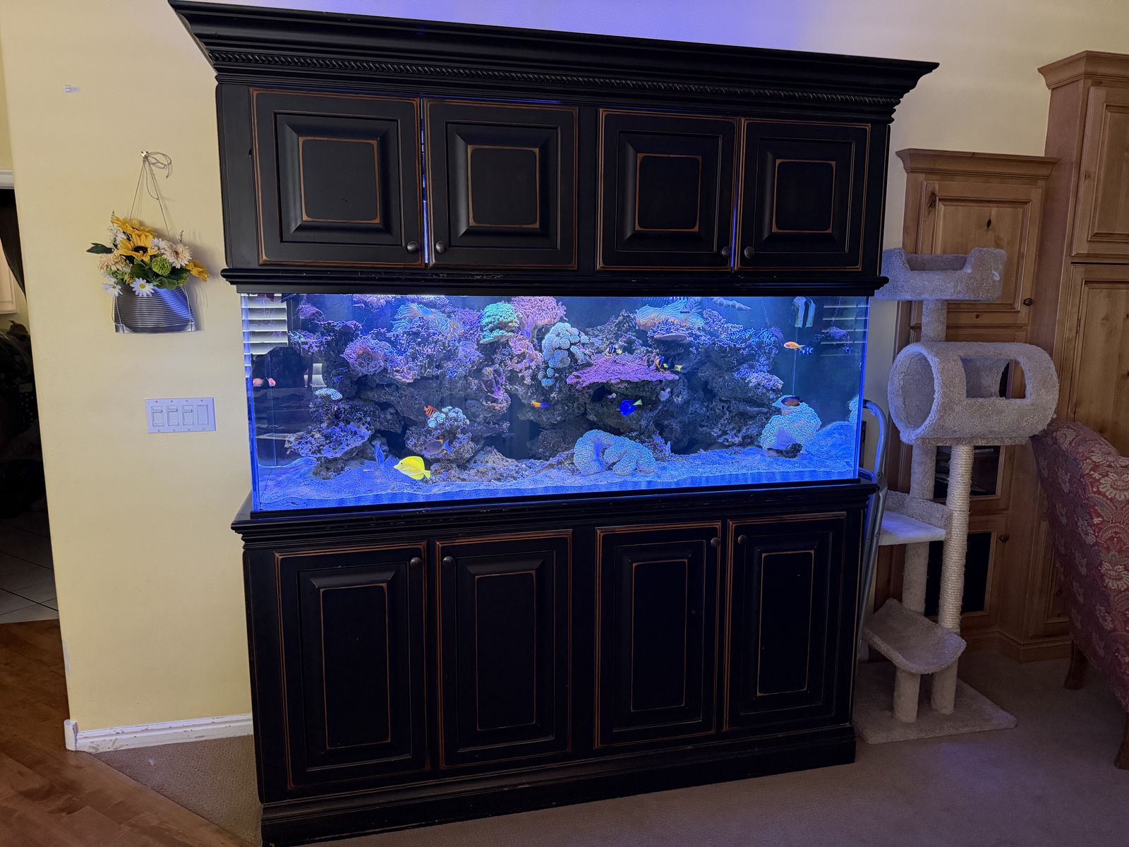 Large Black Custom Wood Cabinet Aquarium Stand with Reef Setup