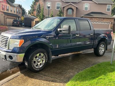2010 FORD F150 Platinum