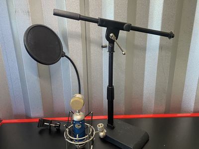 Bluebird SL Studio Condenser Microphone