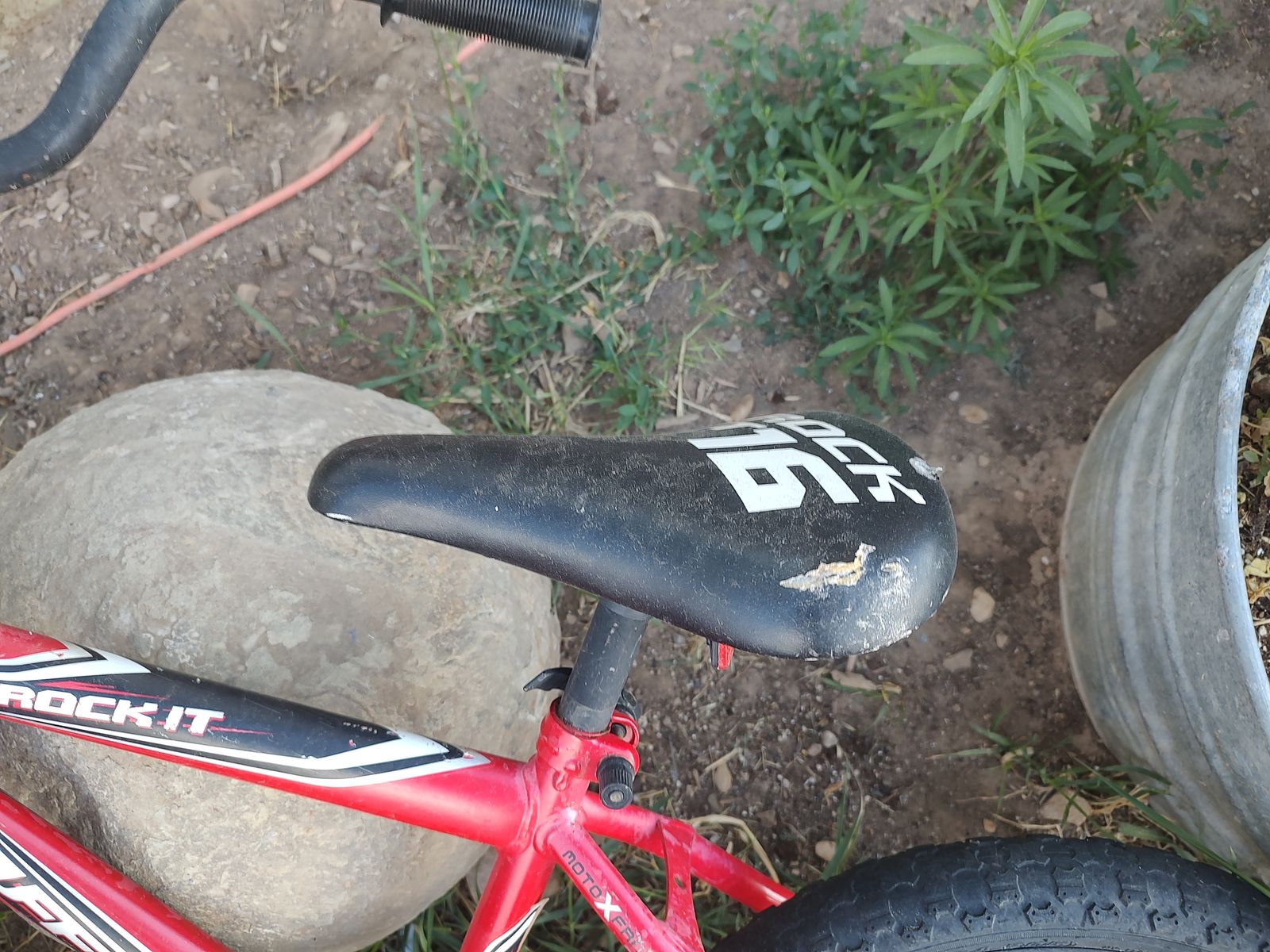 Kids 16 in bike