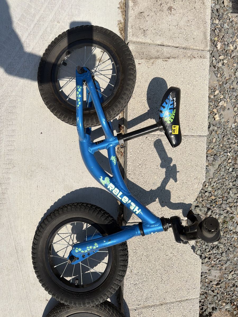 Raleigh Kids' Push Balance Bike - Blue, Perfect for Learning to Ride