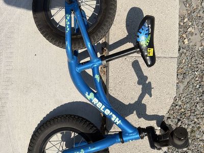 Raleigh Kids' Push Balance Bike - Blue, Perfect for Learning to Ride