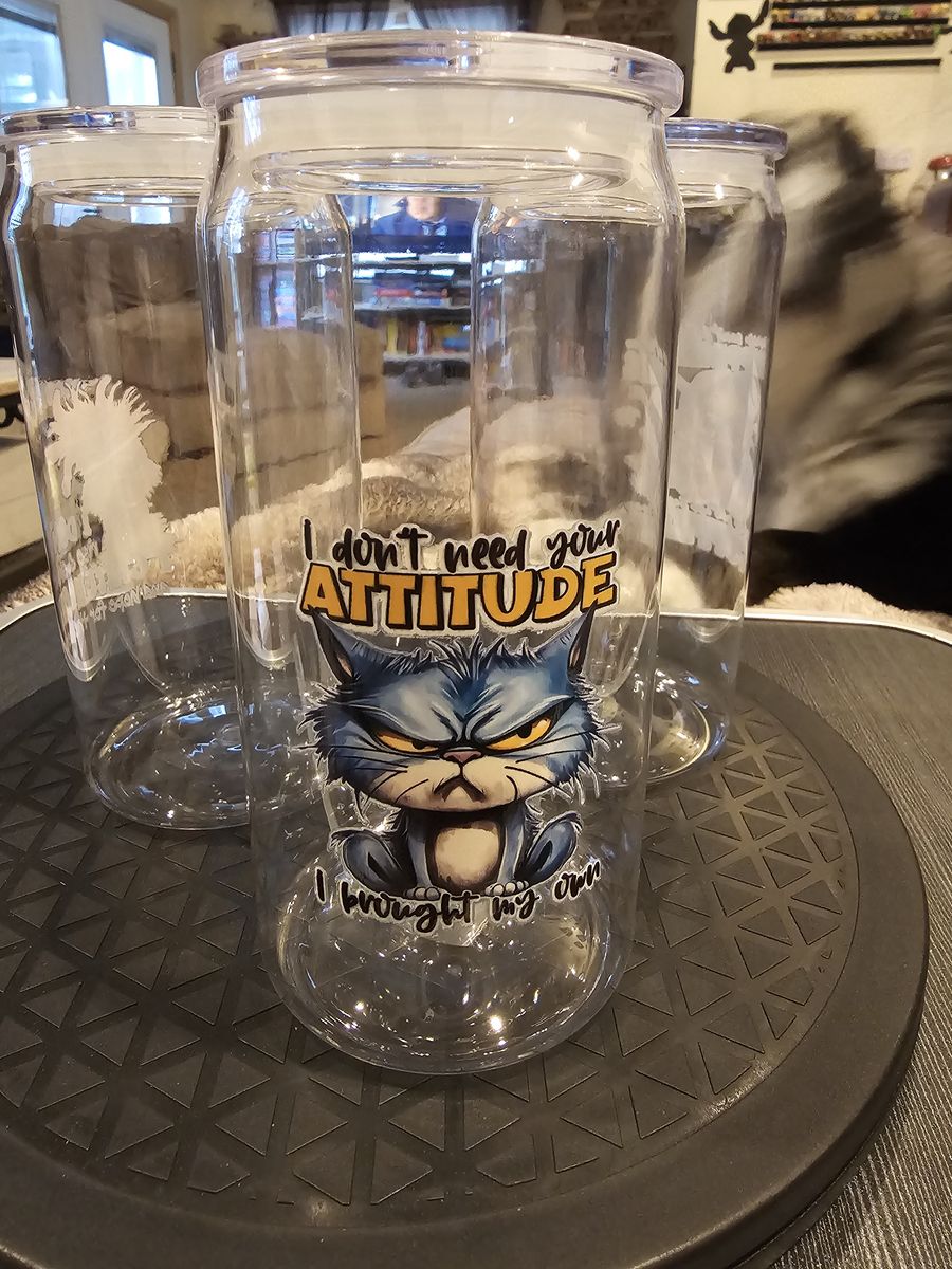 Plastic Can Tumblers with Funny Animal Quotes, Dragons and Characters with Lids and straws