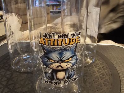 Plastic Can Tumblers with Funny Animal Quotes, Dragons and Characters with Lids and straws