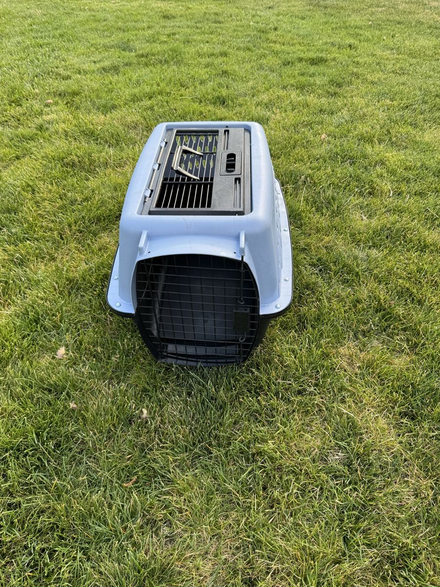 Hard-Sided Pet Carrier Kennel with Top Loading Door Dog Cat