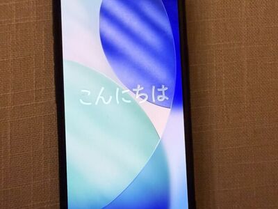 iPhone 16 Pro Max (256 GB)