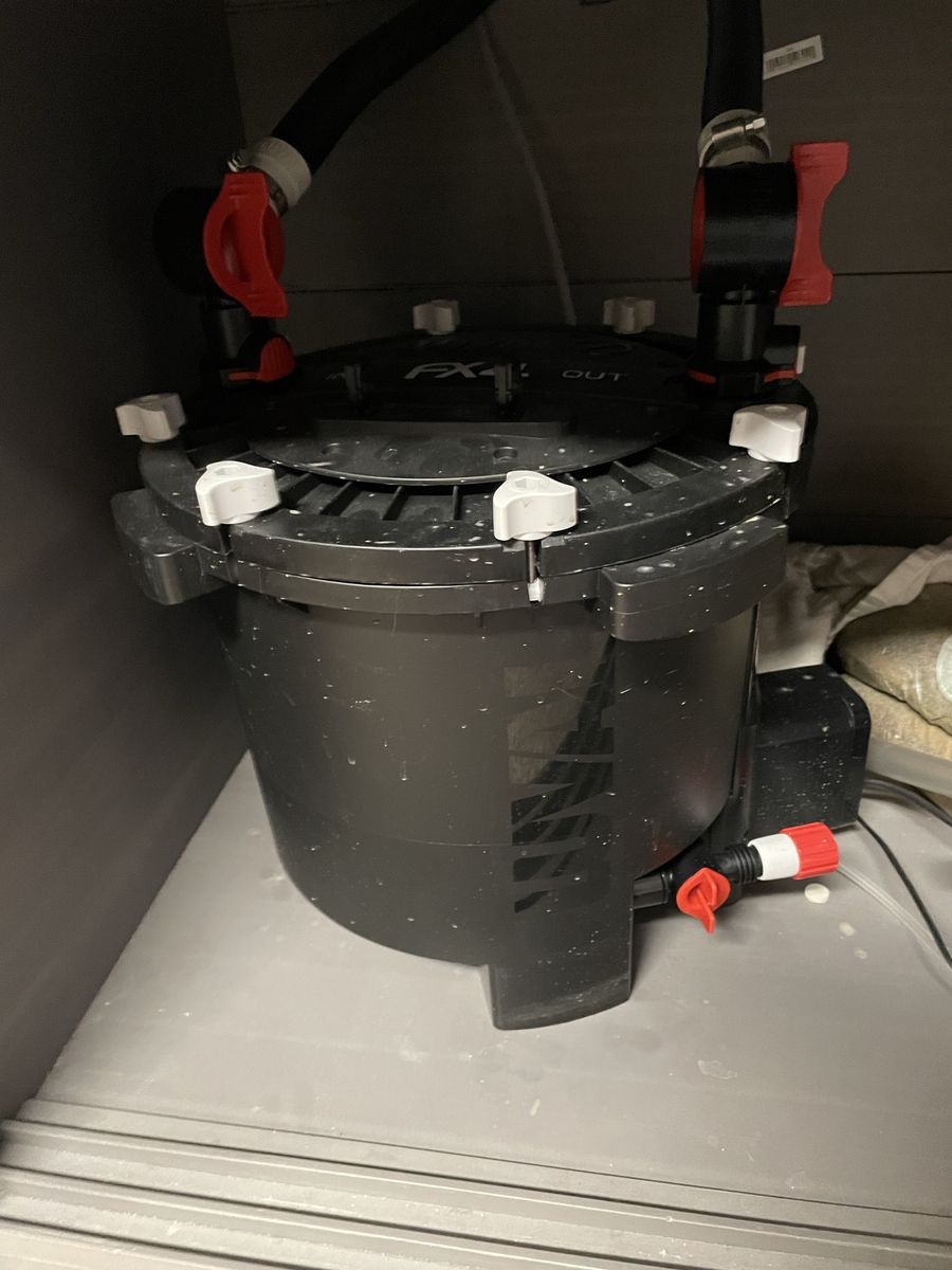 Main image 6