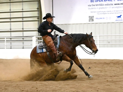 𝗡𝗥𝗛𝗔 𝗘𝗮𝗿𝗻𝗲𝗿 - 𝗙𝗶𝗻𝗶𝘀𝗵𝗲𝗱 𝗥𝗲𝗶𝗻𝗲𝗿 - 𝗙𝗮𝗺𝗶𝗹𝘆 𝗛𝗼𝗿𝘀𝗲 - 𝗢𝗻𝗰𝗲 𝗜𝗻 𝗔 𝗟𝗶𝗳𝗲𝘁𝗶𝗺𝗲 𝗚𝗲𝗹𝗱𝗶𝗻𝗴!