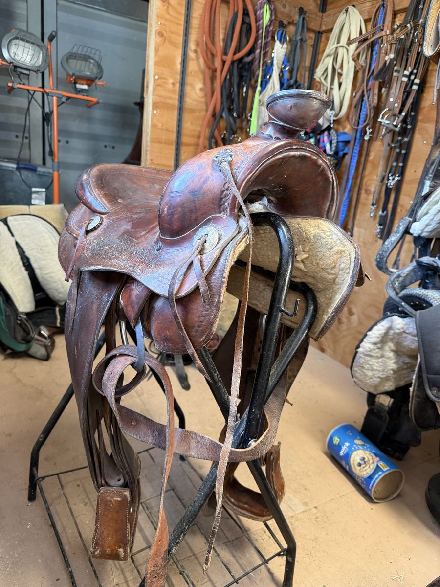 Saddle