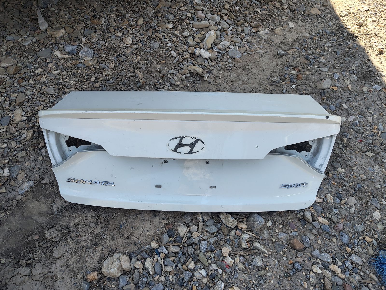 2015 Hyundai Sonata Lid/Gate Assembly trunk