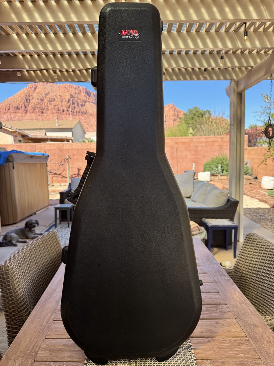 Dreadnought Guitar Case St. George Area