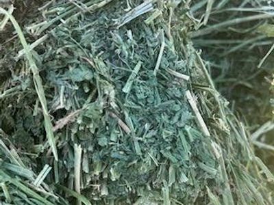 ALFALFA/ORCHARD GRASS HAY .TEXT 435-222-8276 for your orders.