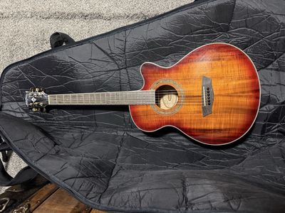 Washburn EA55G-A Acoustic-Electric Guitar Cutaway Brown 6-String Full Size