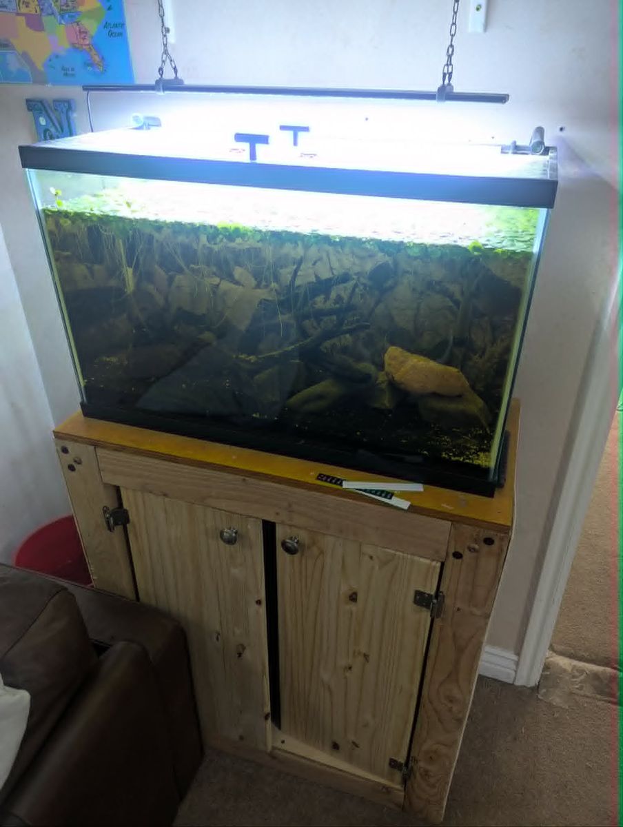 Rehome entire setup with fish. 29 gal W/ canister filter and stand.