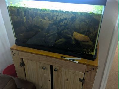 Rehome entire setup with fish. 29 gal W/ canister filter and stand.
