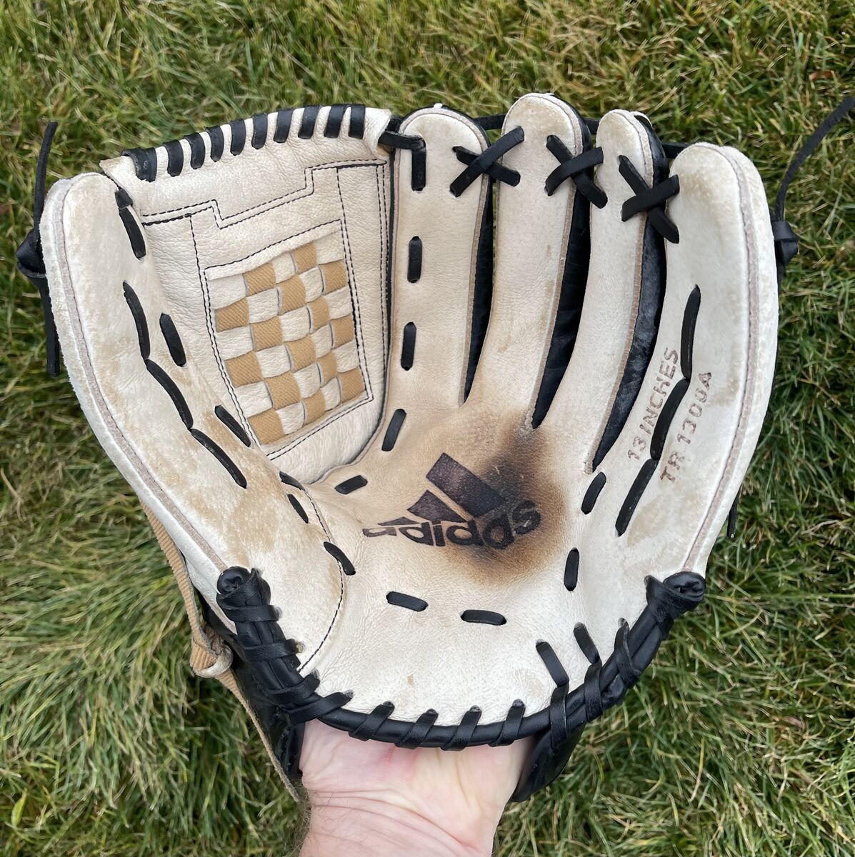 Wilson 13 in. Baseball/Softball Glove