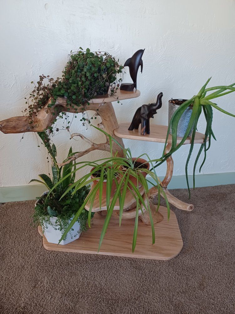 Unique Multi-Tier Wood Plant Stand, Rustic Live Edge Decor