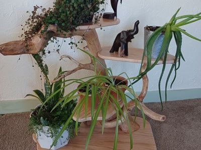 Unique Multi-Tier Wood Plant Stand, Rustic Live Edge Decor