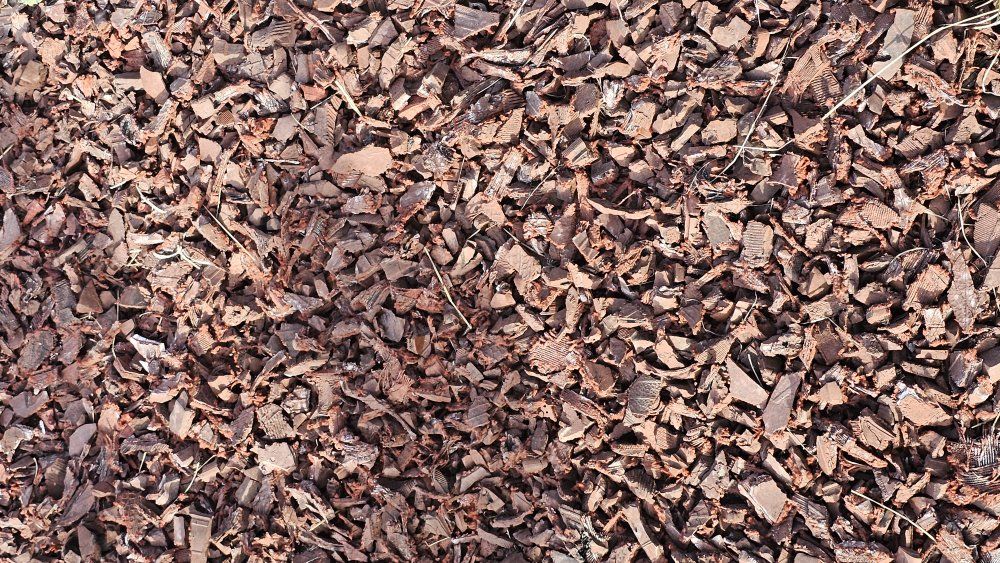 Red Rubber mulch and edging
