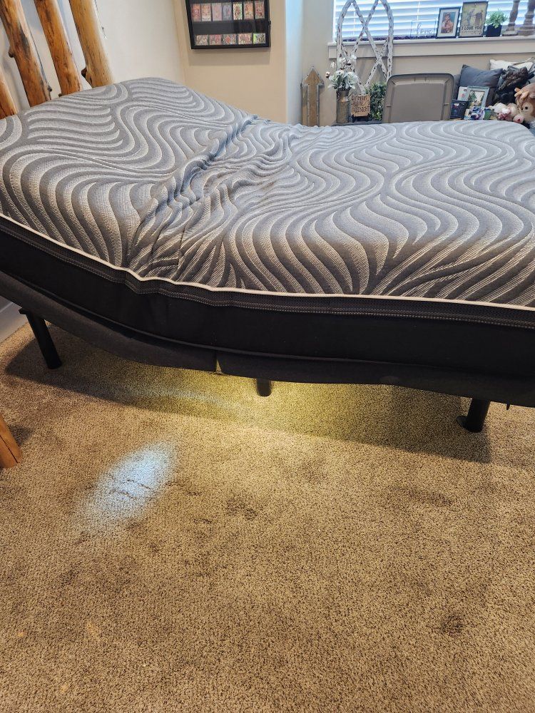 Tempur-pedic Adjustable Frame w/ Plush Mattress