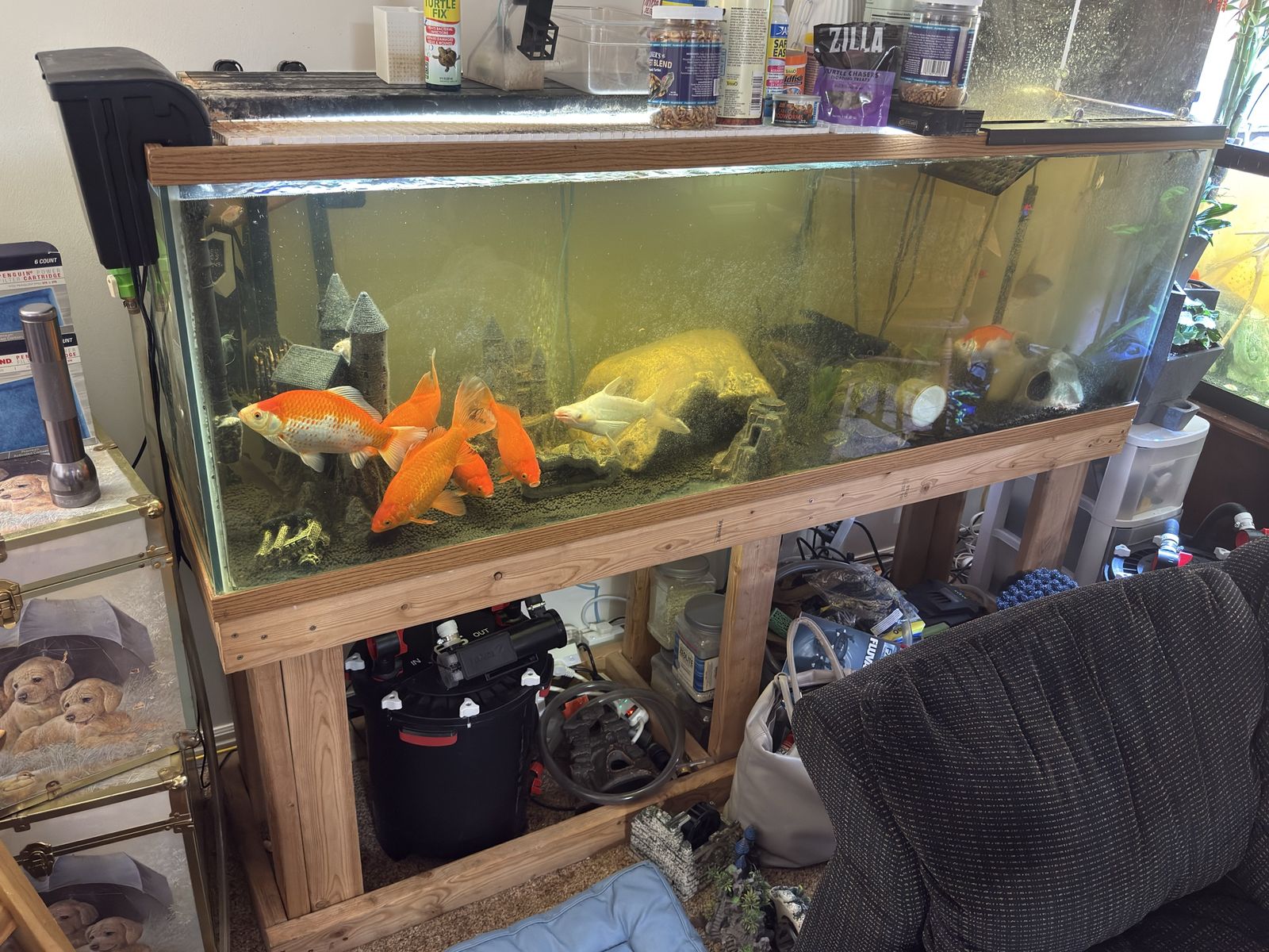 125 gallon fish tank and sturdy stand