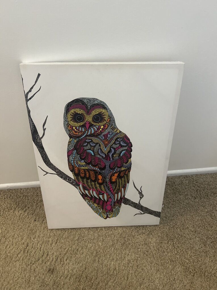 Owl Picture 19.5” W × 27.5” L