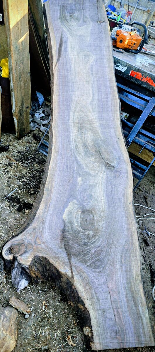 Beautiful live edge black walnut slab 10 ft long 2.5 thick 26"/36"