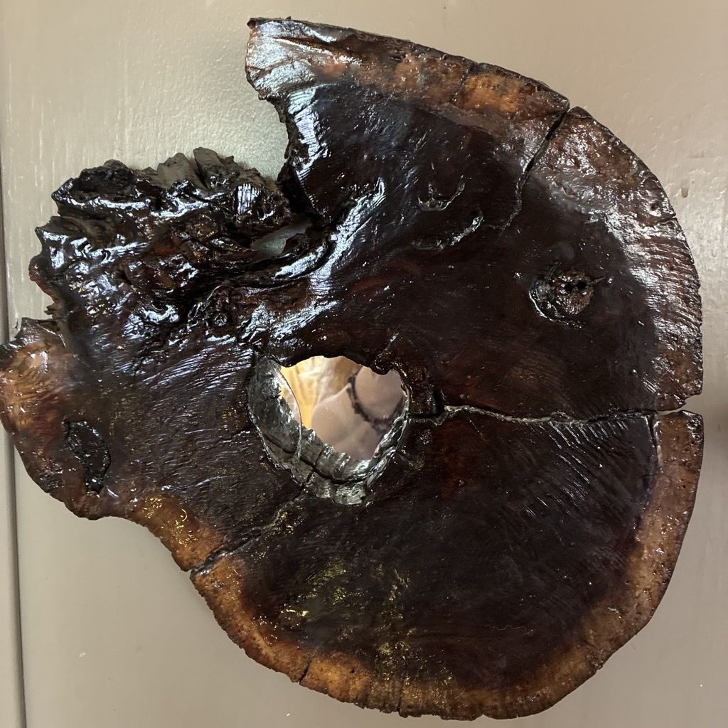 Unique Wood Slice Wall Decor with Integrated Mirror - Natural Organic Walnut Wood. Prices vary please look at description below