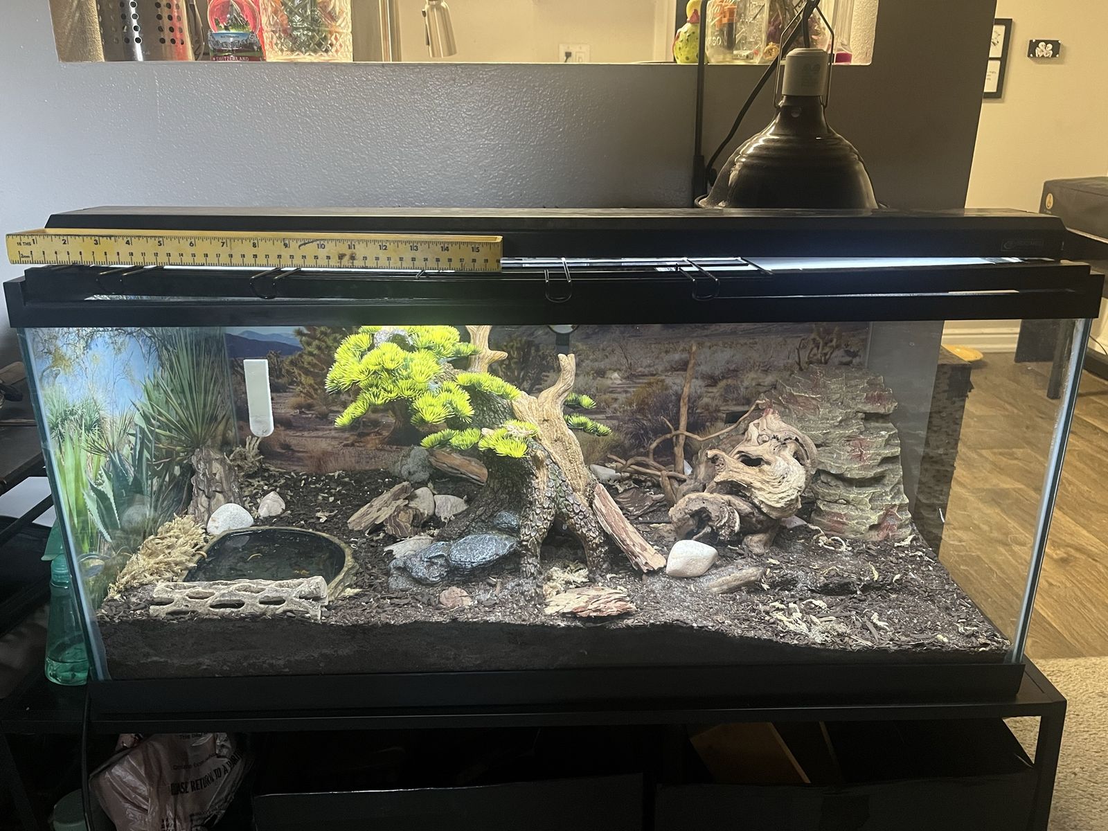 Reptile tank