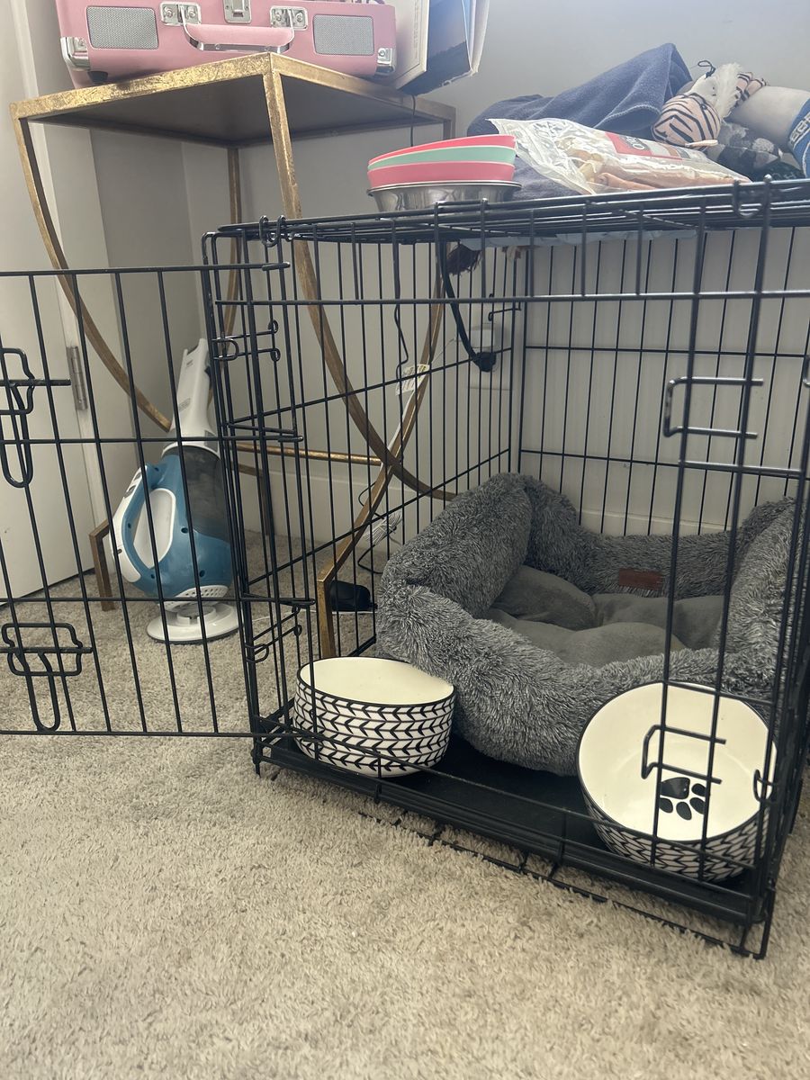 Collapsible Metal Dog Crate  - Large Pet Kennel