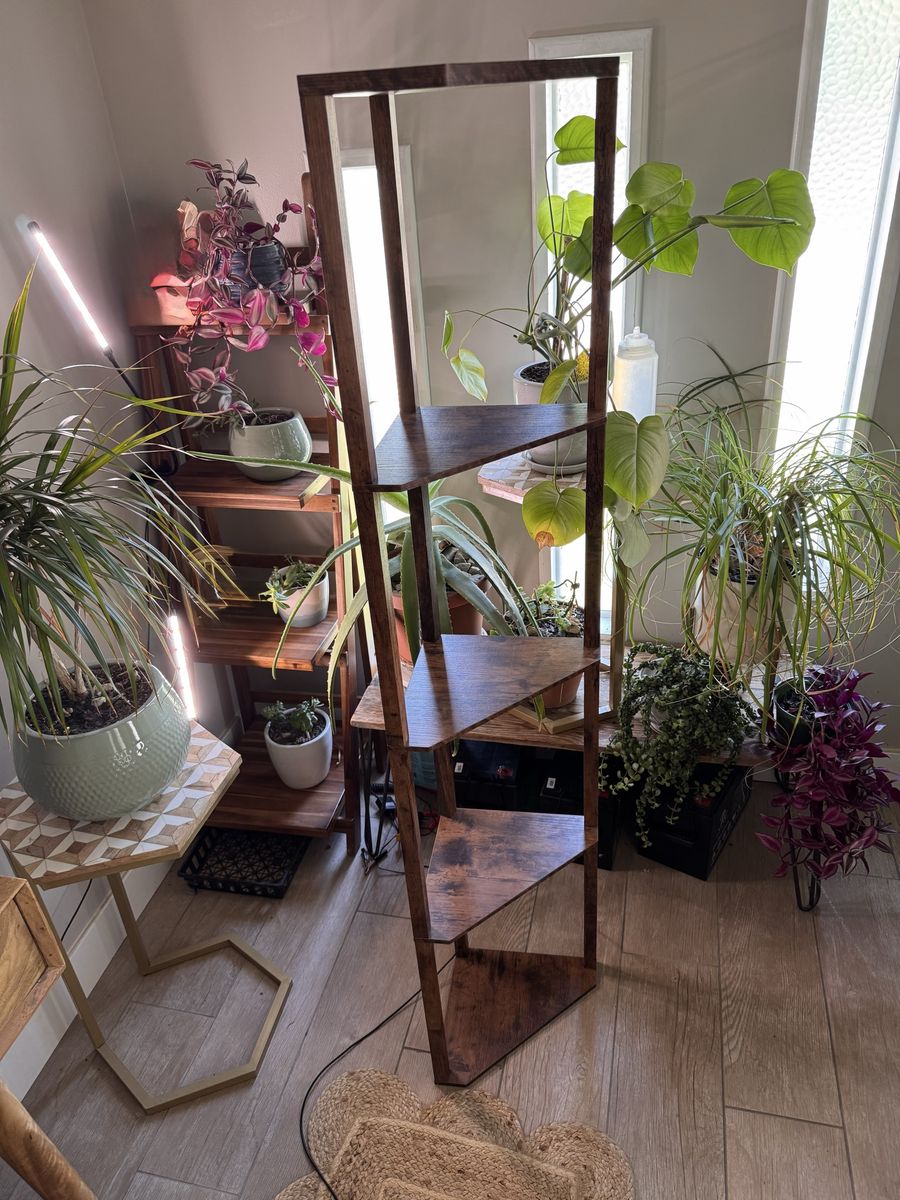 EDISHINE Corner Shelf/Floor Lamp