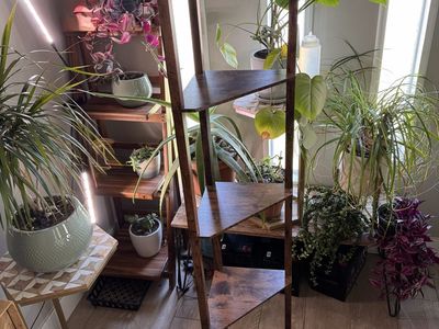 EDISHINE Corner Shelf/Floor Lamp