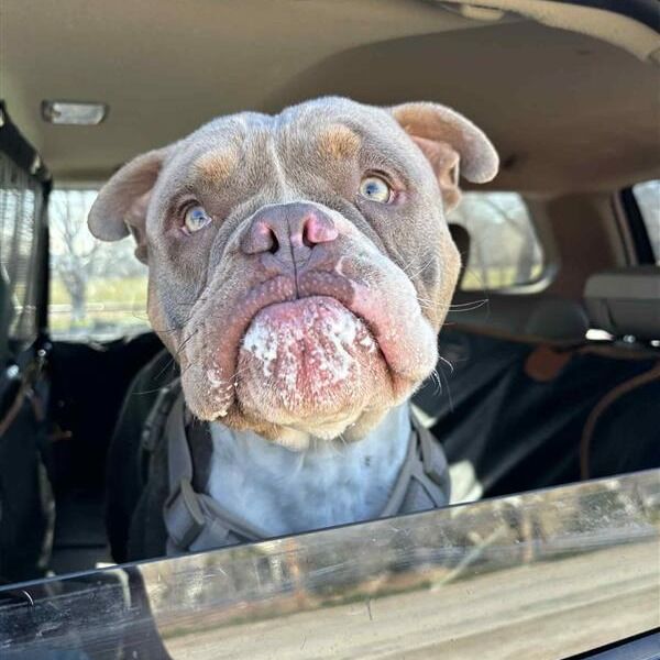 Hello my name is Hudson