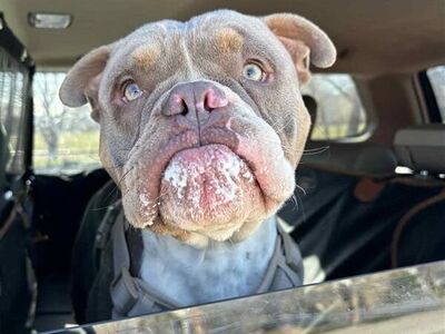 Hello my name is Hudson