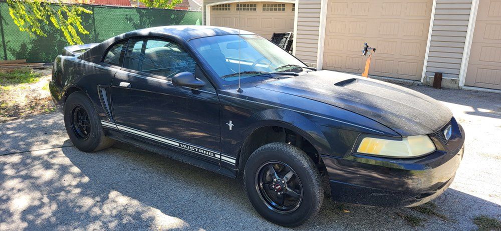 Mustang Drag roller