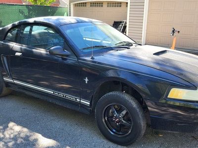 Mustang Drag roller