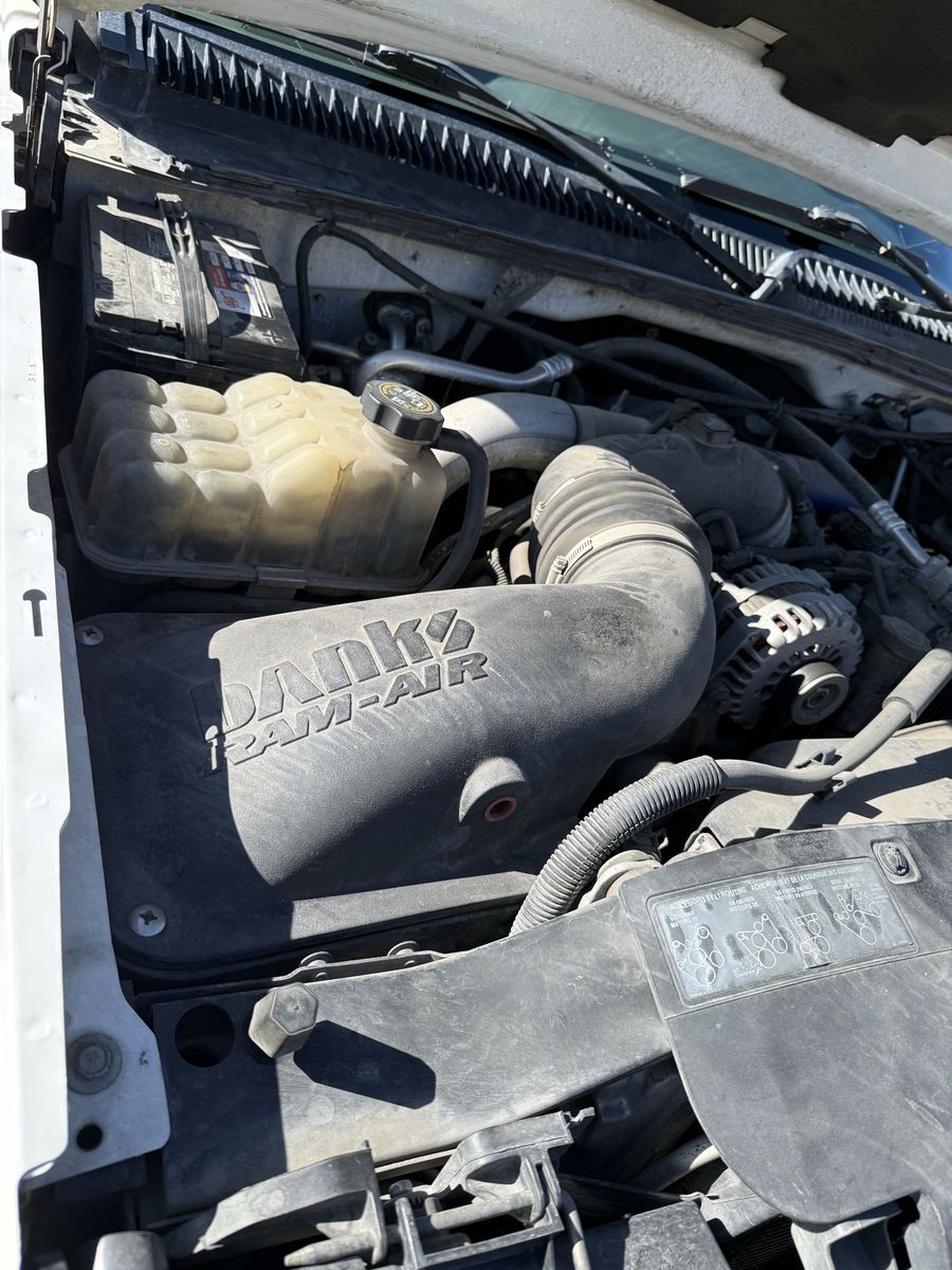 Main image 6