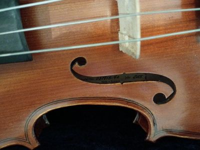 Viola