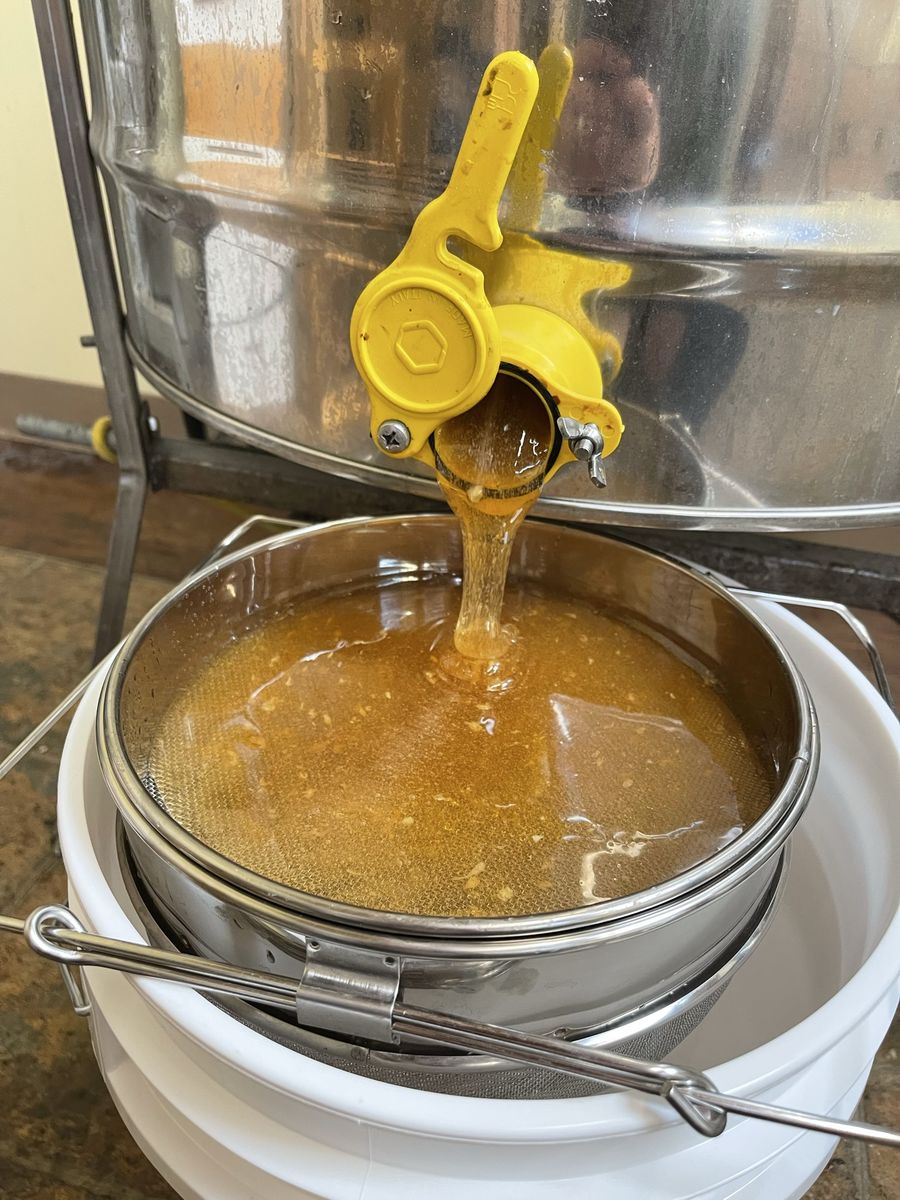 Free Honey