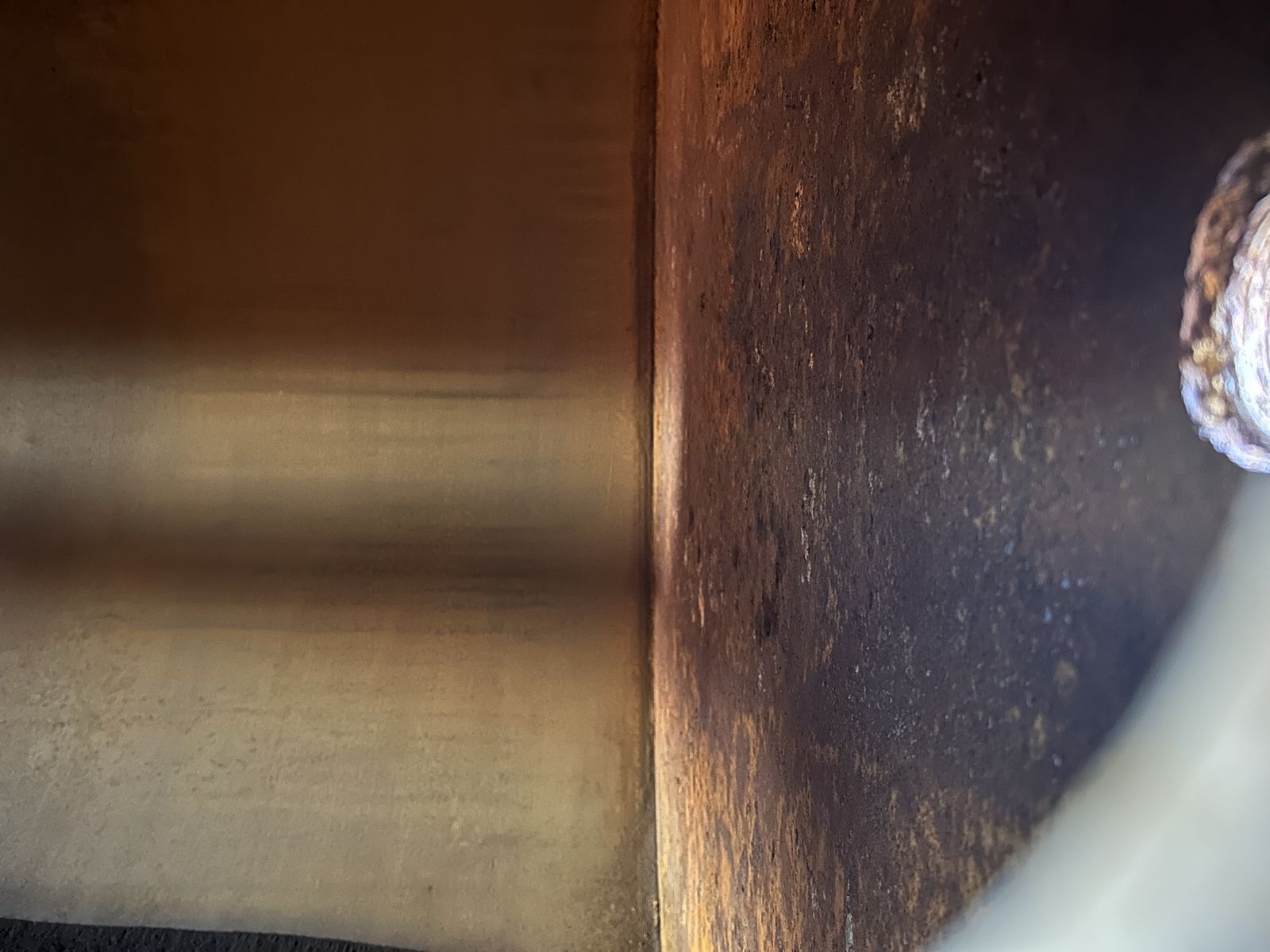 Main image 5