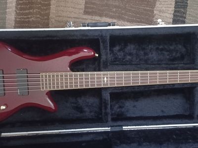 Schecter 5 String Bass