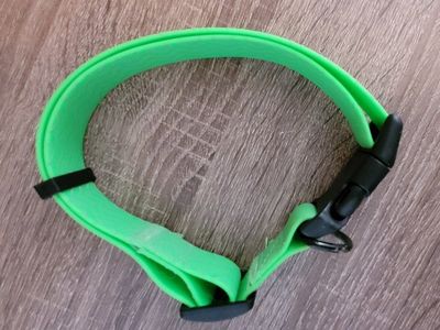 Neon green BioThane dog collar