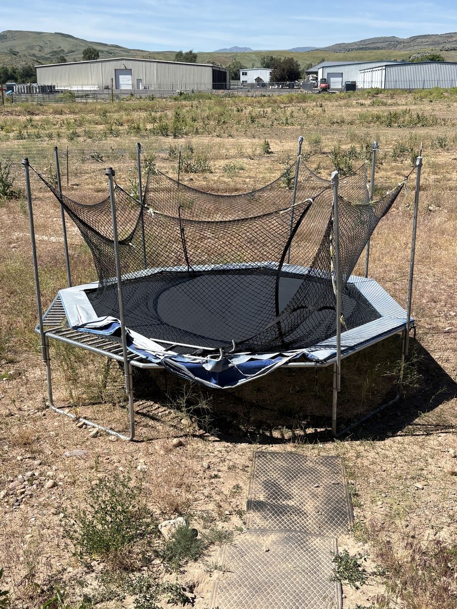 FREE Trampoline